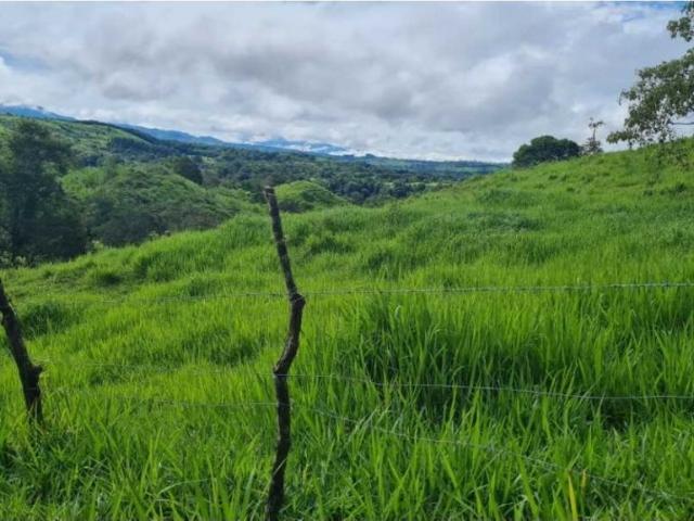 Cortijo de alto standing en venta Volcán, Provincia de Chiriquí