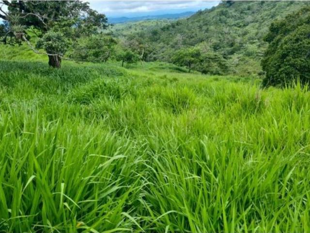Cortijo de alto standing en venta Volcán, Provincia de Chiriquí