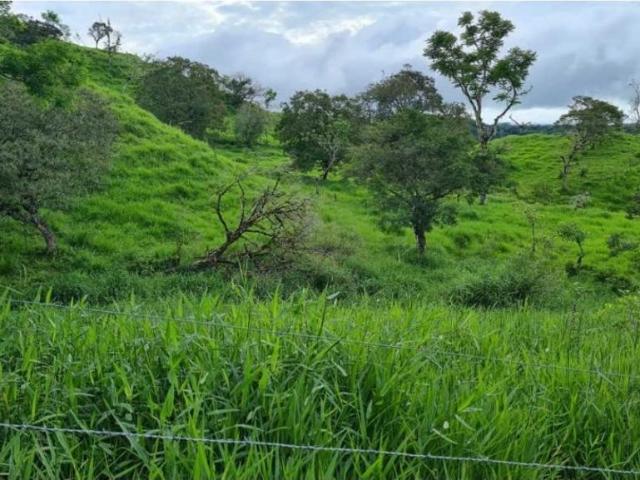 Cortijo de alto standing en venta Volcán, Provincia de Chiriquí