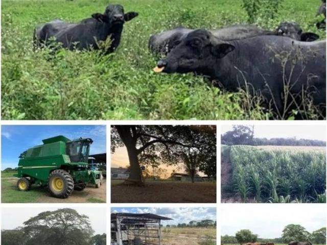 Propiedad en venta en Yumare, Yaracuy