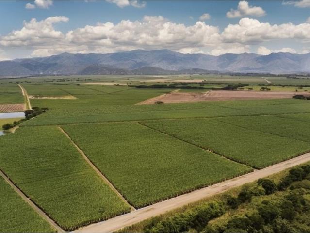 Finca en venta en Zarzal, Valle Del Cauca