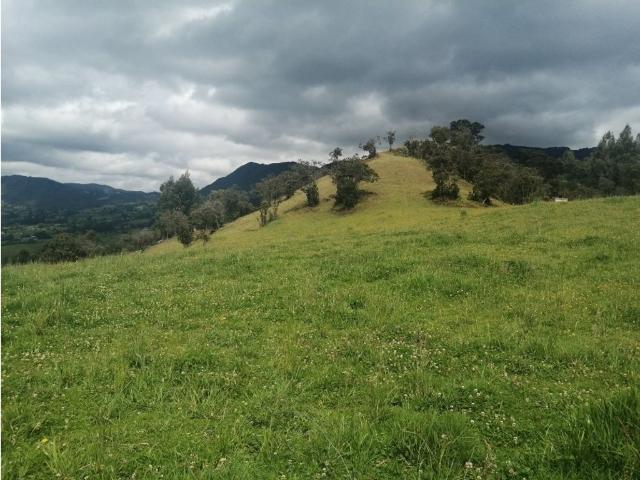 Finca en venta en Cundinamarca