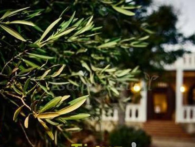 Casa en alquiler en Villanueva De Bogas, Toledo