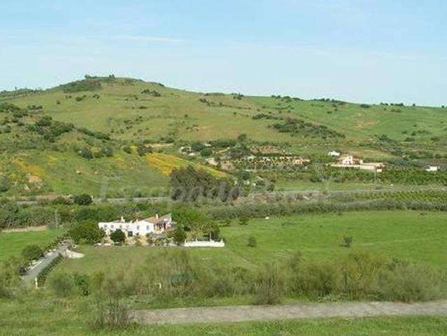 Casa en alquiler en Pizarra Casa en alquiler en Pizarra