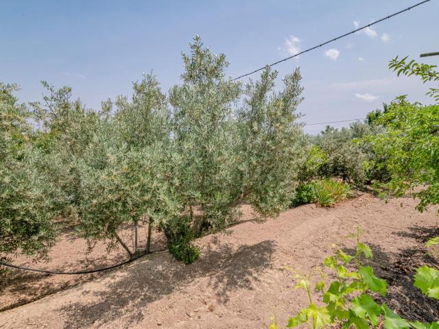 Chalet en venta en Comarca de Baza, Andalucía