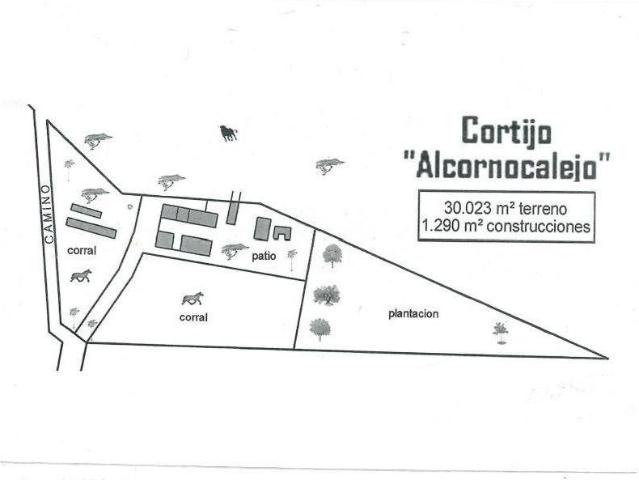 Terreno en venta en Campiña de Jerez, Andalucía