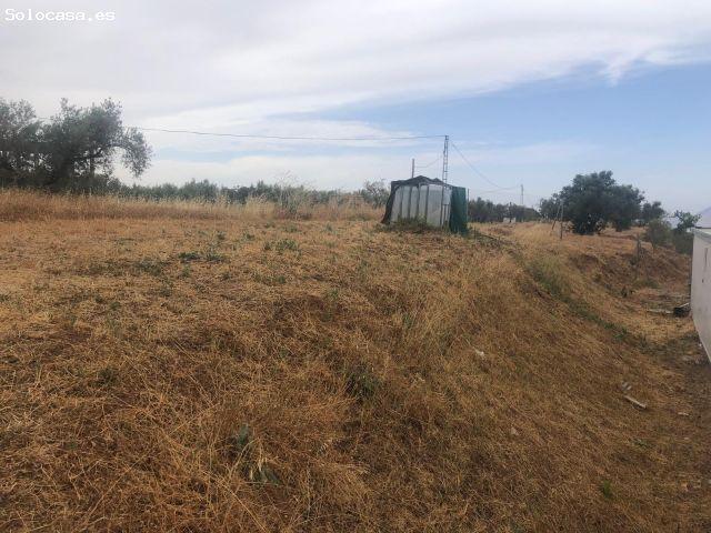 Casa en venta en Comarca de la Vega de Granada, Andalucía