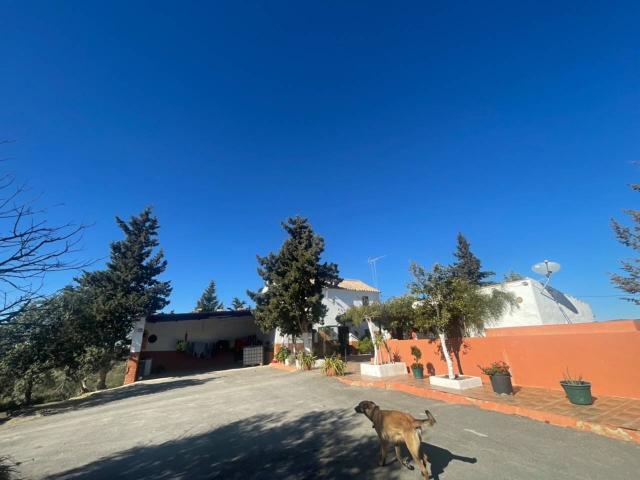 Casa Rural en venta en Zona 1 (el Valle y Dehesa de la Villa), Lucena