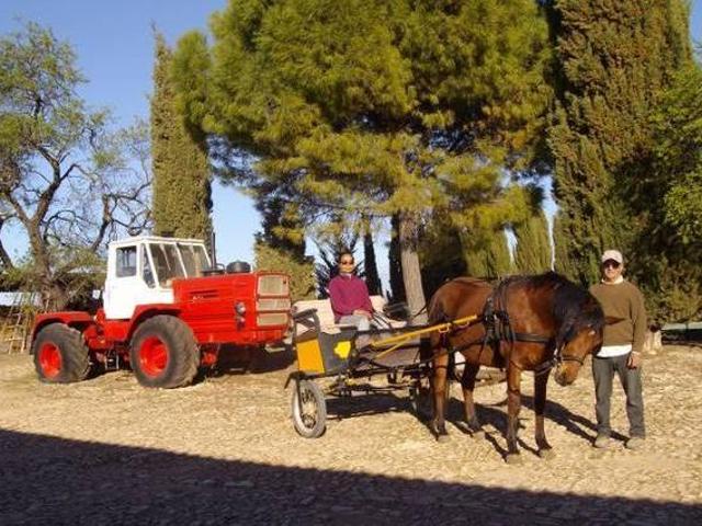 Casa en alquiler en Humilladero, Málaga