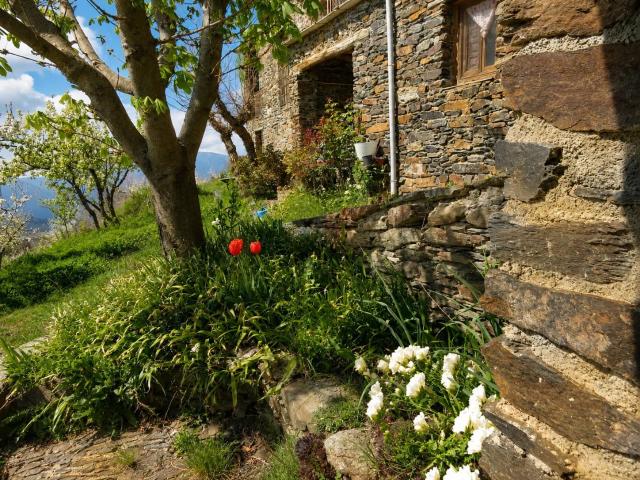 Casa en venta en Comarca de la Alpujarra Granadina, Andalucía