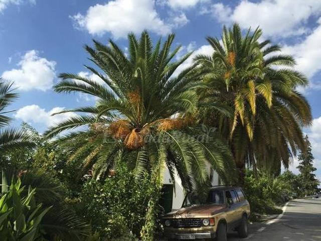 Casa en alquiler en Alcalá La Real, Andalucía