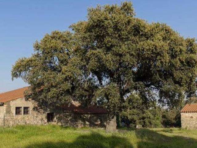 Casa en alquiler en Cardeña, Andalucía