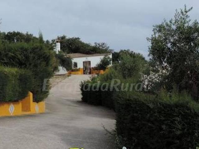 Casa en alquiler en Sierra de Cádiz, Andalucía