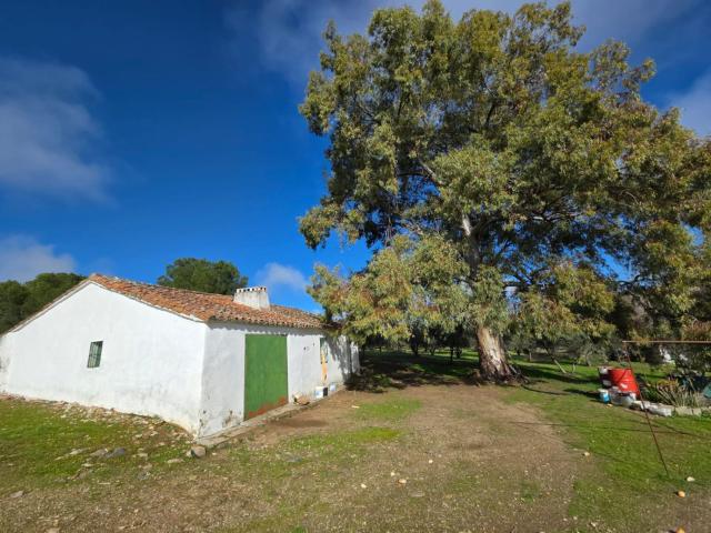 Casa Rural en venta en Azuaga, Extremadura