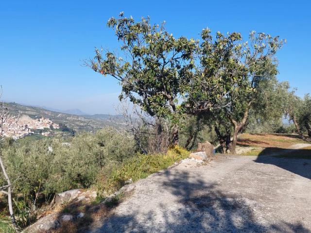 Casa Rural en venta en Quesada, Andalucía