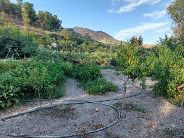 Casa Rural en venta en Quesada, Andalucía