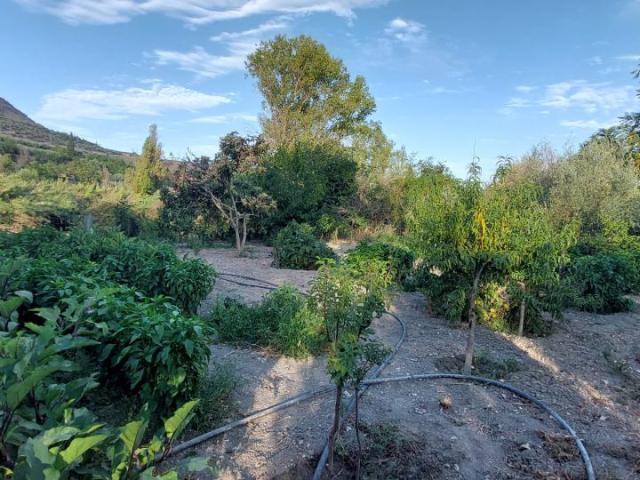 Casa Rural en venta en Quesada, Andalucía