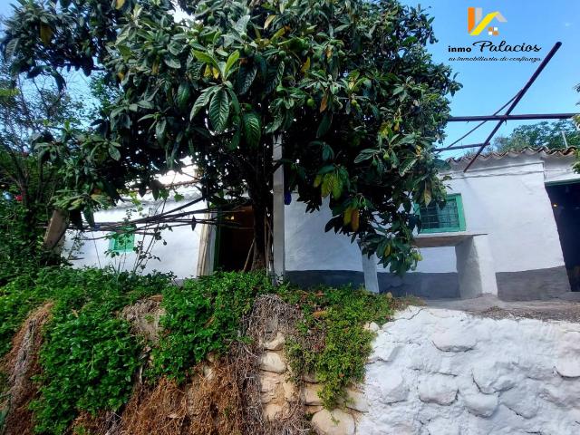 Casa Rural en venta en Urbanización Lo Pepin, el Baix Segura / La Vega Baja