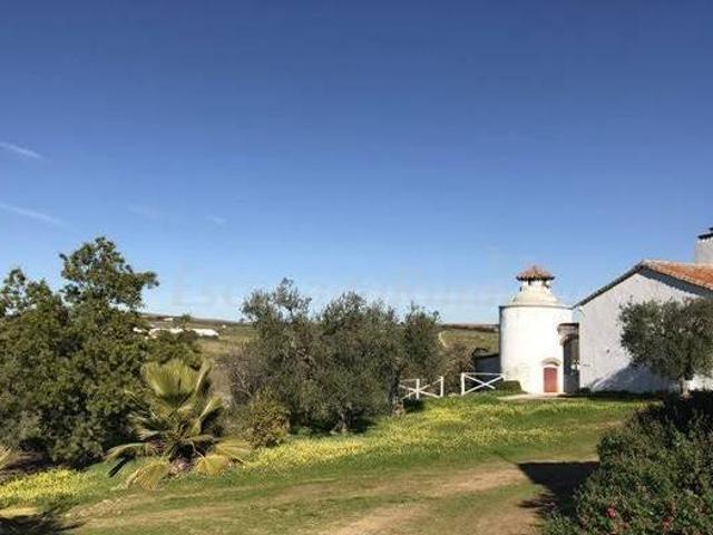 Casa en alquiler en Azuaga, Badajoz