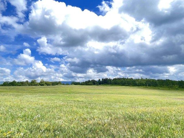 Land for sale in Davis, West Virginia