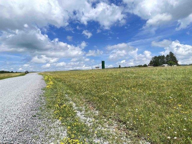 Land for sale in Davis, West Virginia