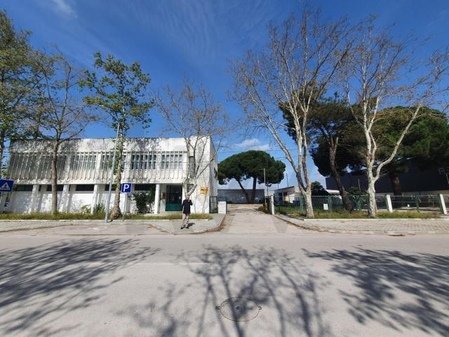 Armazém venda em Coruche, Santarém