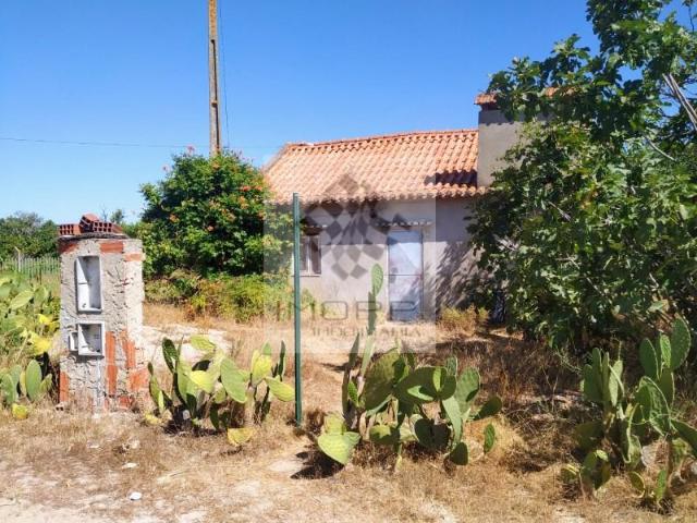 Terreno venda em Coruche, Santarém