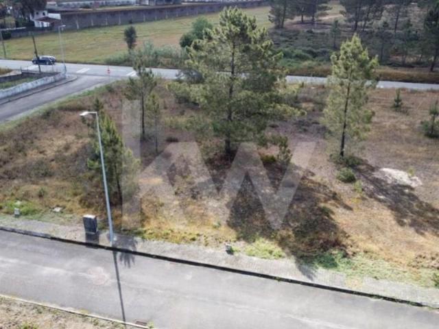 Terreno venda em Coruche, Santarém