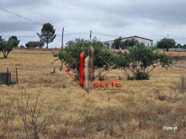 Terreno venda em Coruche, Santarém