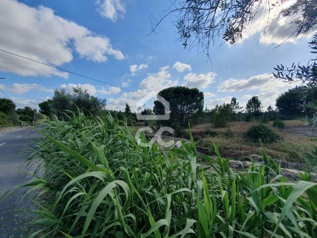 Terreno venda em Coruche, Santarém