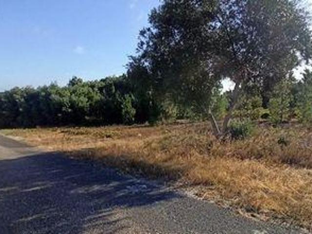 Terreno venda em Coruche, Santarém