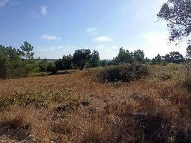 Terreno venda em Coruche, Santarém