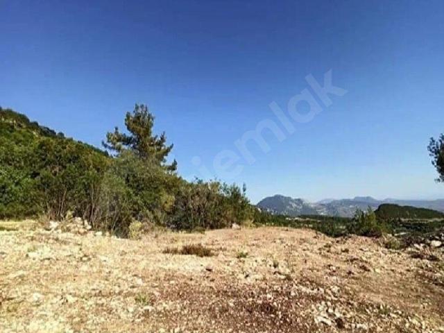 Kumluca, Antalya içerisinde satılık Arsa