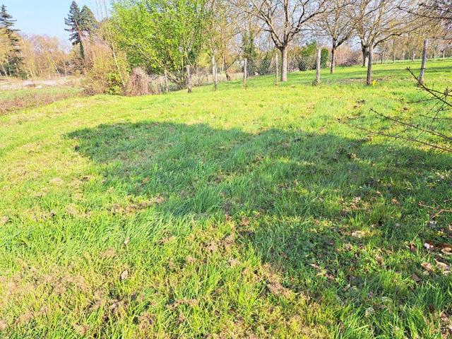 Terrain vente à Angers, Seiches-sur-le-loir