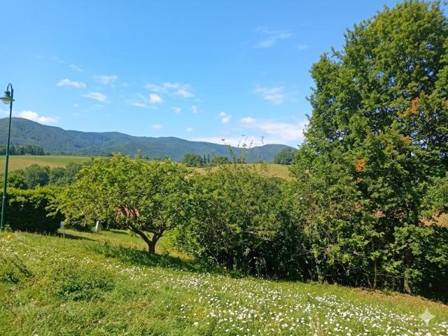 Terrain vente à Foix, Cos