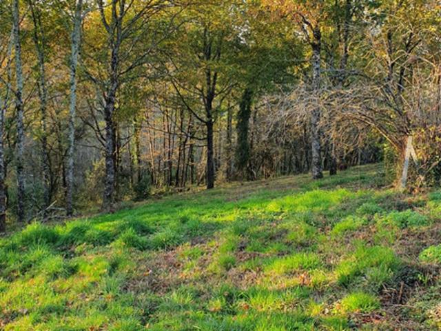 Terrain vente à Brive-la-Gaillarde, Cosnac