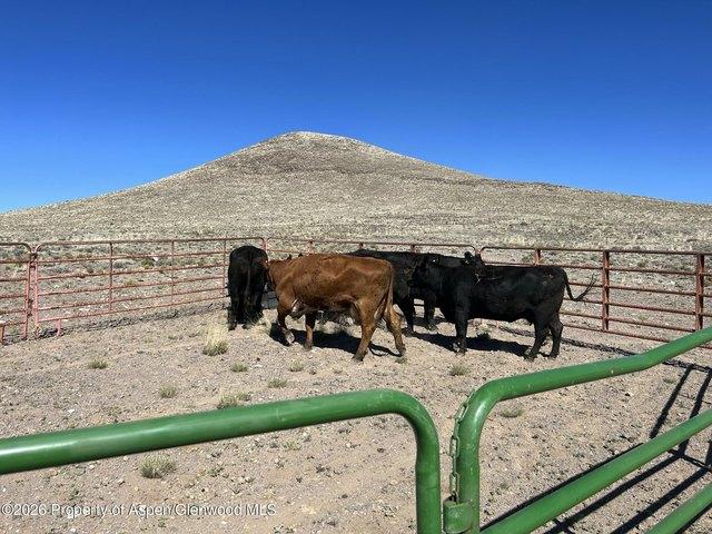 Land for sale in Blanca, Colorado