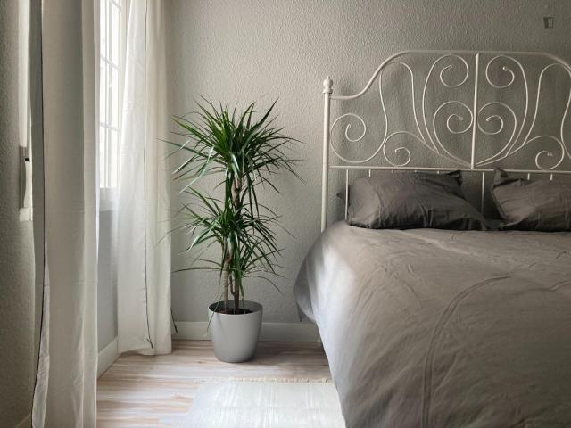 Apartamento en alquiler en Mercat, l'Alacantí