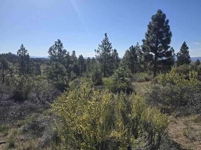 Land for sale in Oregonia