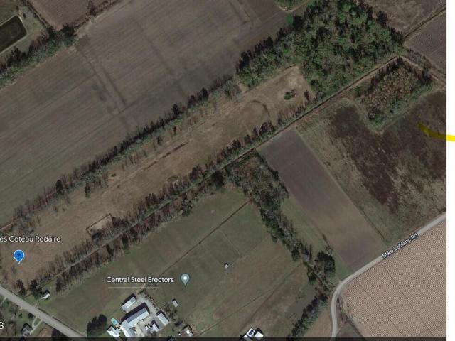Land for sale in Saint Martin, Louisiana