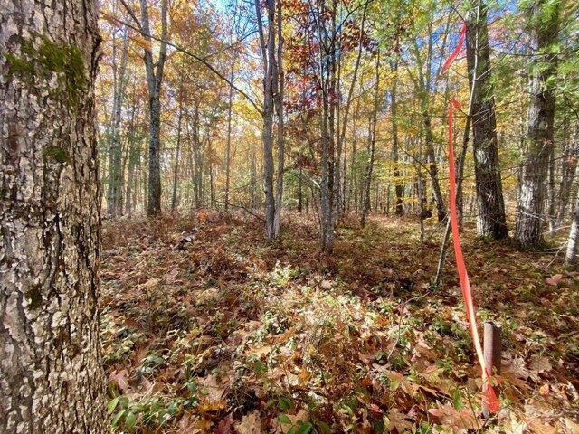 Land for sale in Brownfield, Maine