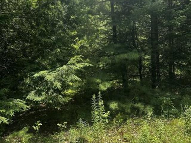 Land for sale in Orland, Maine