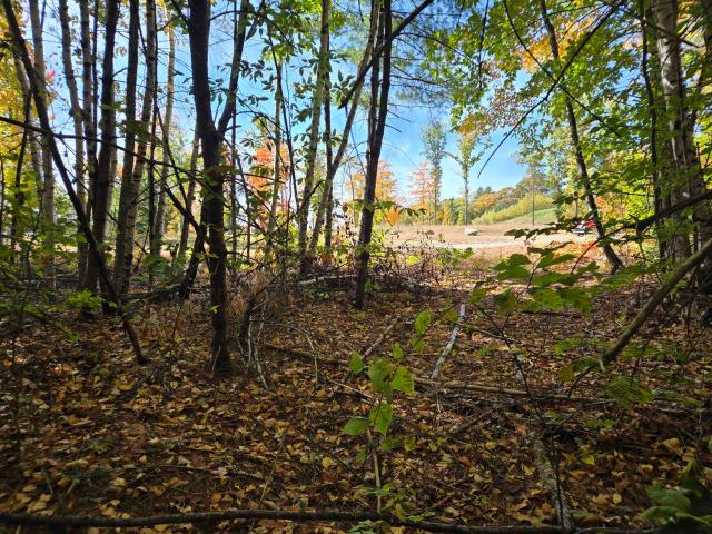 Land for sale in Weare, Hillsborough County