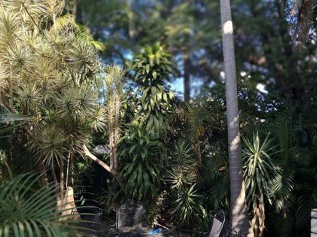 Granny Flat for rent in Sydney, New South Wales