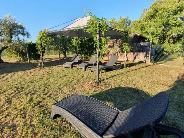 Villa Indipendente in affitto a San Venanzo, Umbria