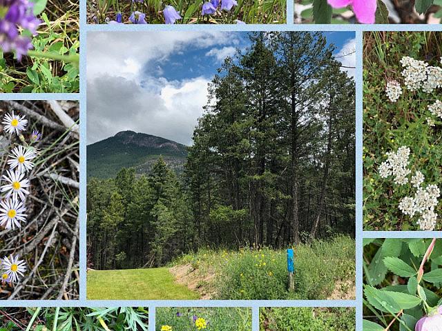 Land for sale in British Columbia