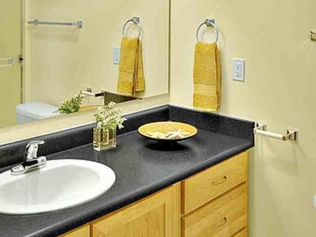 Apartment for rent in University Place, Washington