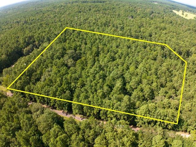 Land for sale in Zavalla, Texas