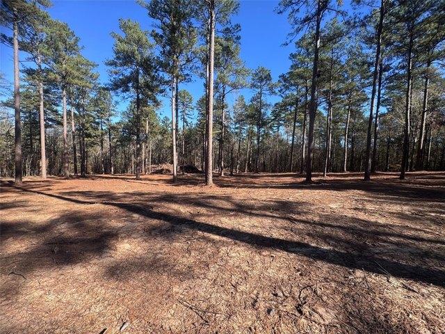 Land for sale in Minden, Louisiana