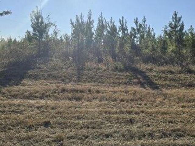 Land for sale in Cottondale, Florida